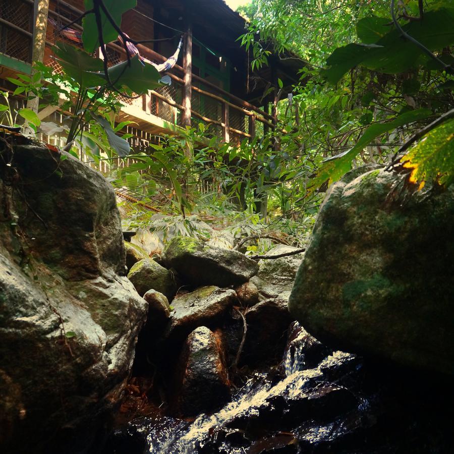 Florianópolis Pousada Sitio Dos Tucanos المظهر الخارجي الصورة